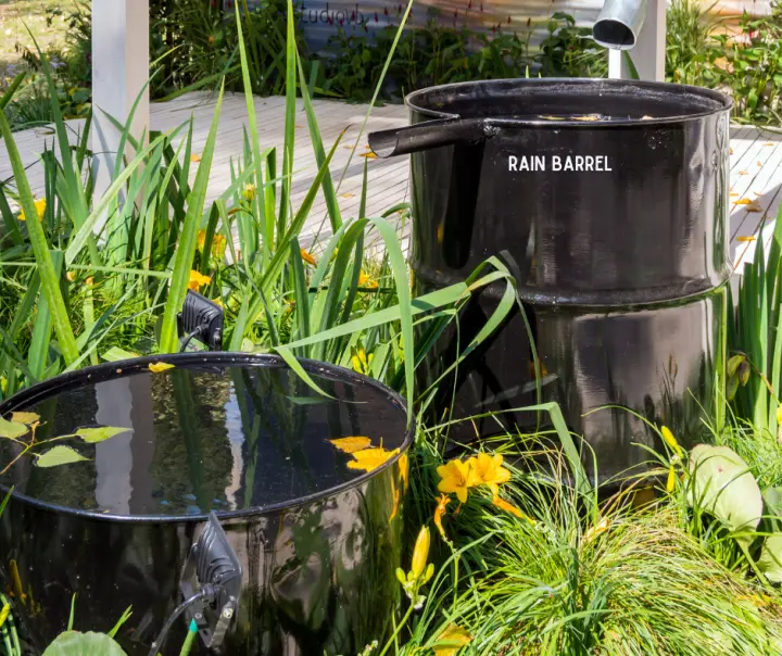 Buy or Make A Rain Barrel System