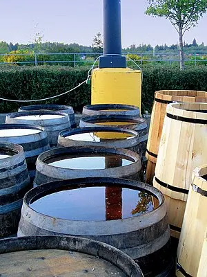 Rain barrels for collection of rainwater. Rain barrels for collection of rainwater.