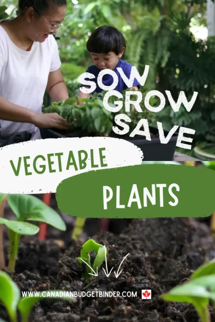 Sow Grow And Save Vegetable Plants