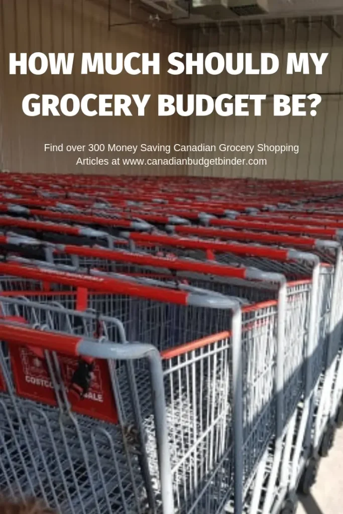 how much should my grocery budget be?
