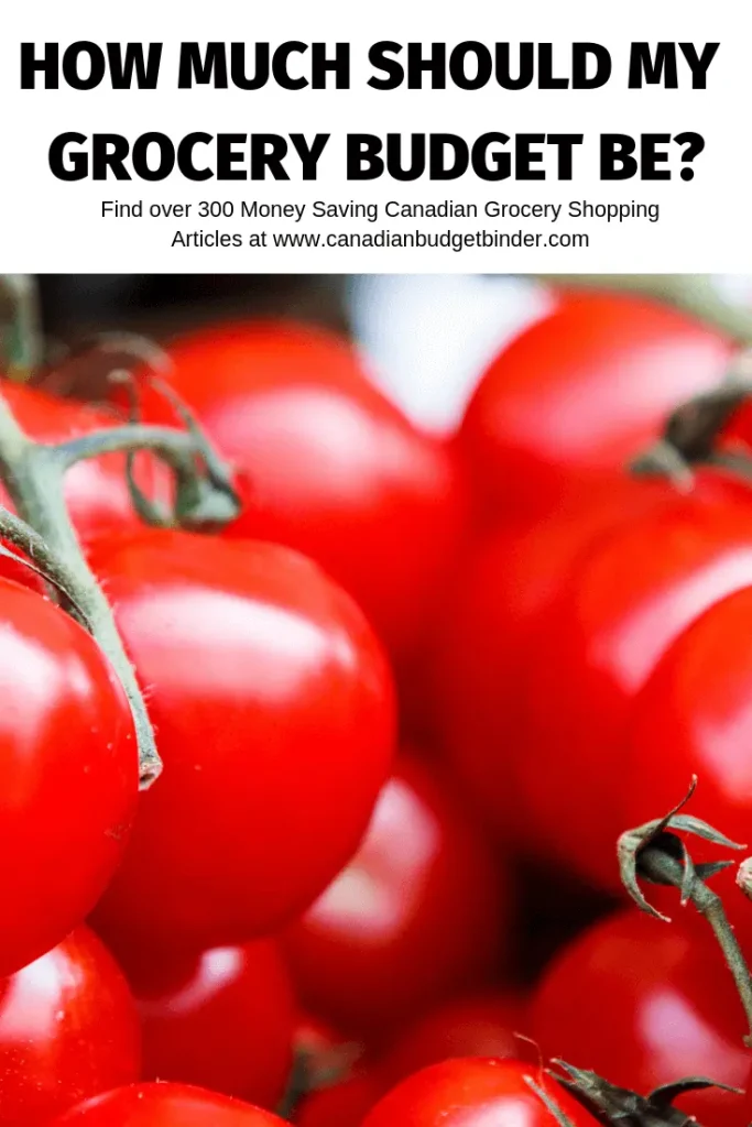 how much should my grocery budget be v.2