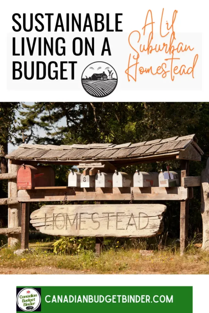 Sustainable-Living-On-A-Budget-A-Lil-Suburban-Homestead-720x1080