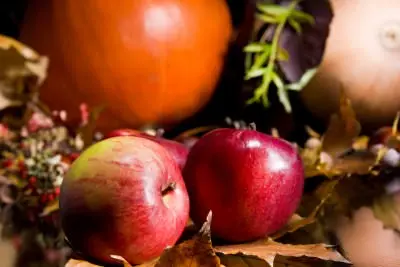 apples
