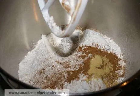 dry-apple-muffin-ingredients