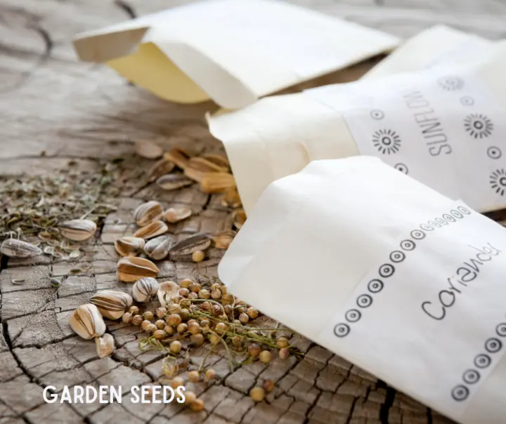 Fall Gardening Seeds