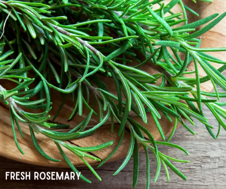 Fresh Rosemary Herb