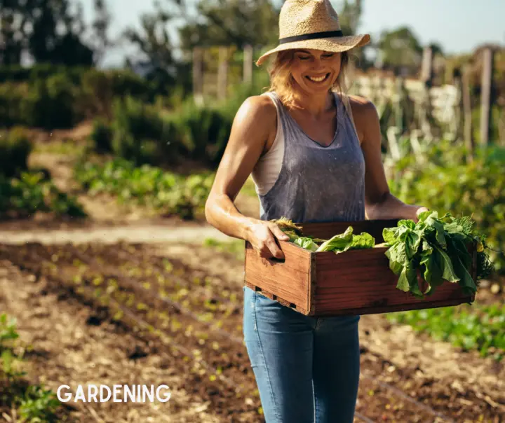 Lady Smiling In Her Garden While Picking Her Crop
