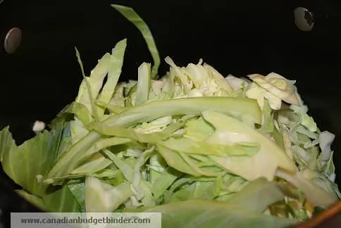 cabbage-wm