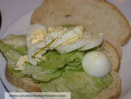 egg-sandwich-wm1