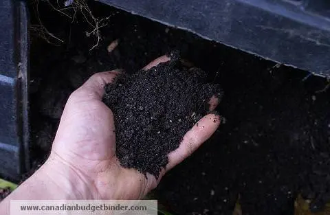 Rotted down to good compost at the bottom compost