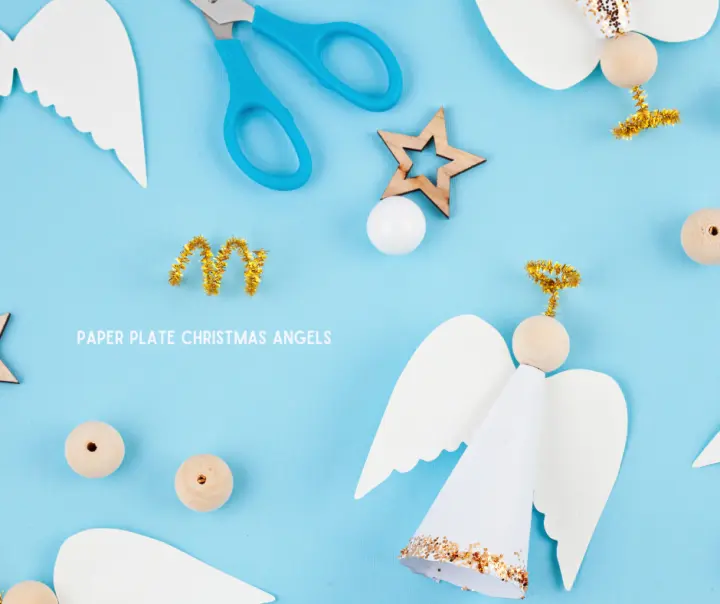 Paper Plate Christmas Decoration Ideas
