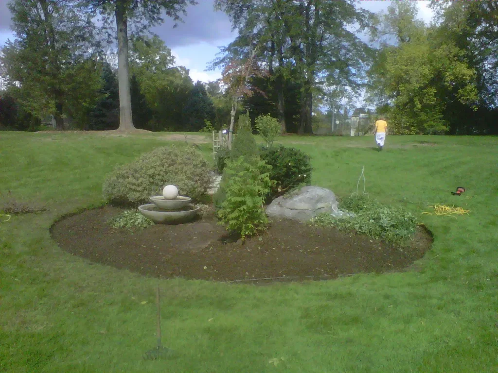 Landscaping Project After Thinning Out- extra money