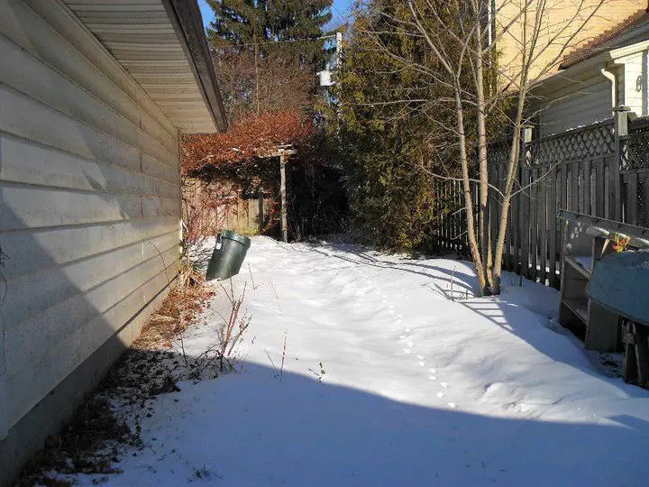 Before Landscaping Project- extra money