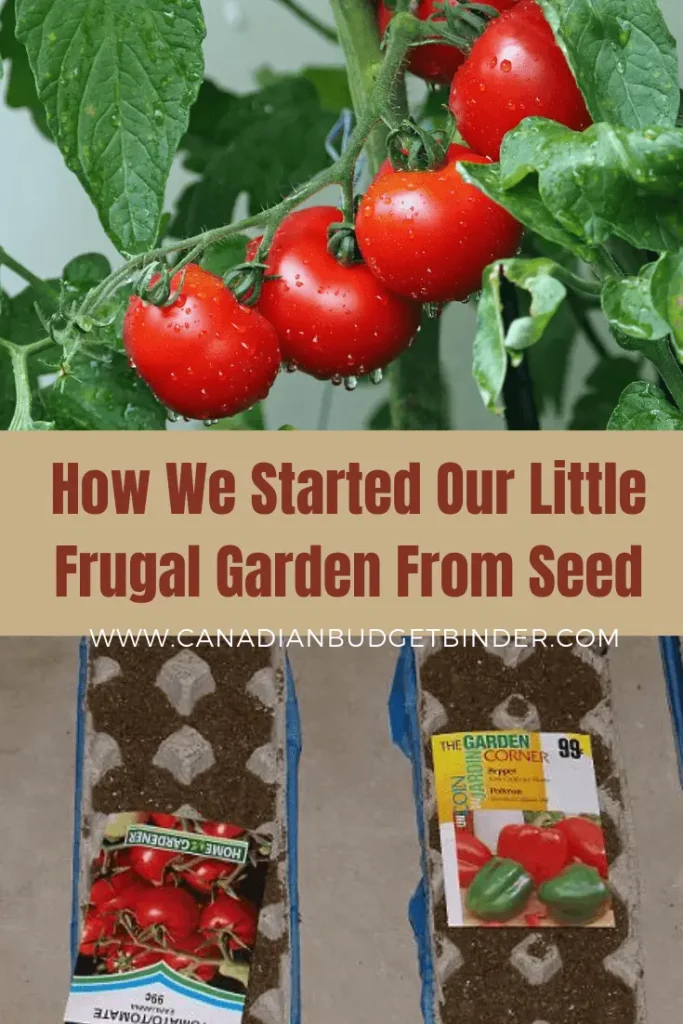 How-We-Started-Our-Little-Frugal-Garden-From-Seed
