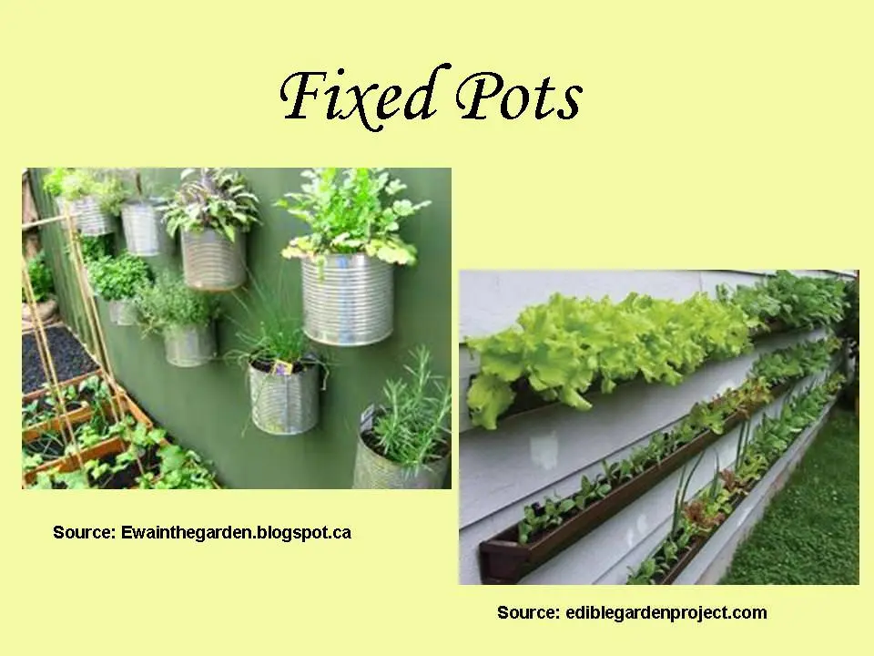fixed pots gardening