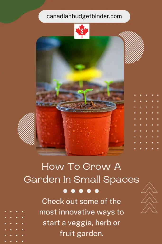 small garden ideas