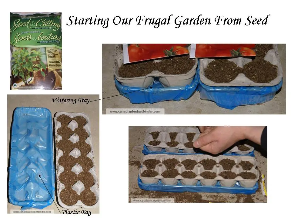 Starting Our Frugal Garden From Seed