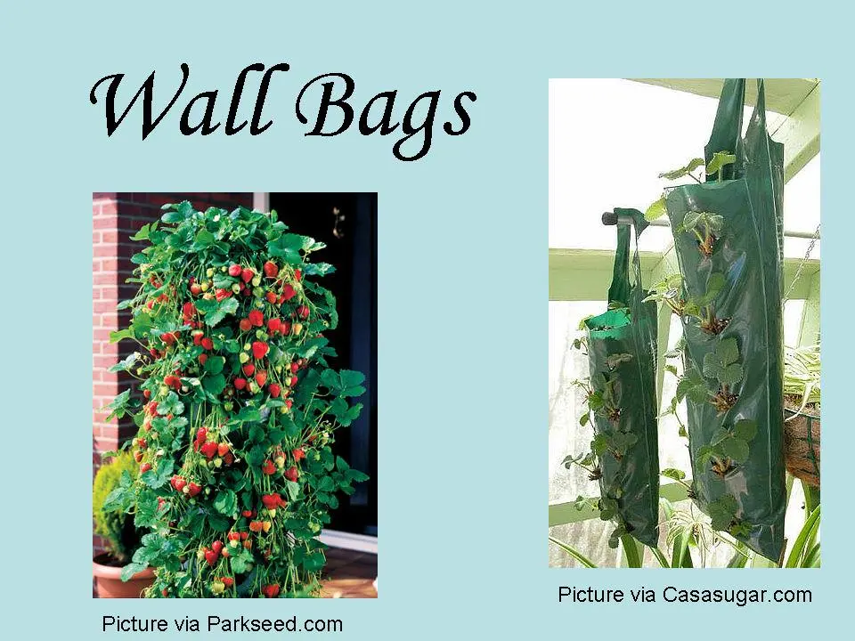 Garden Wall Bags