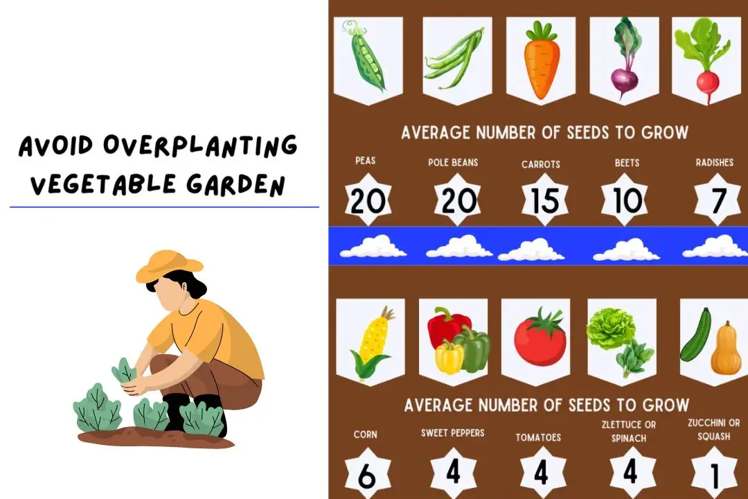 How to avoid overplanting your vegetable garden graphic