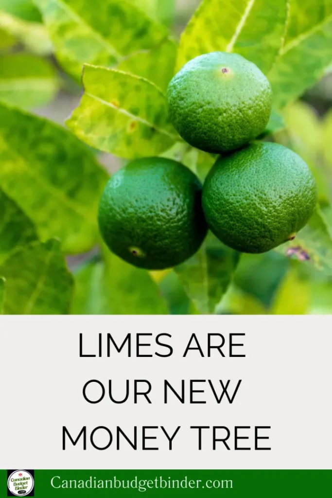 Limes
