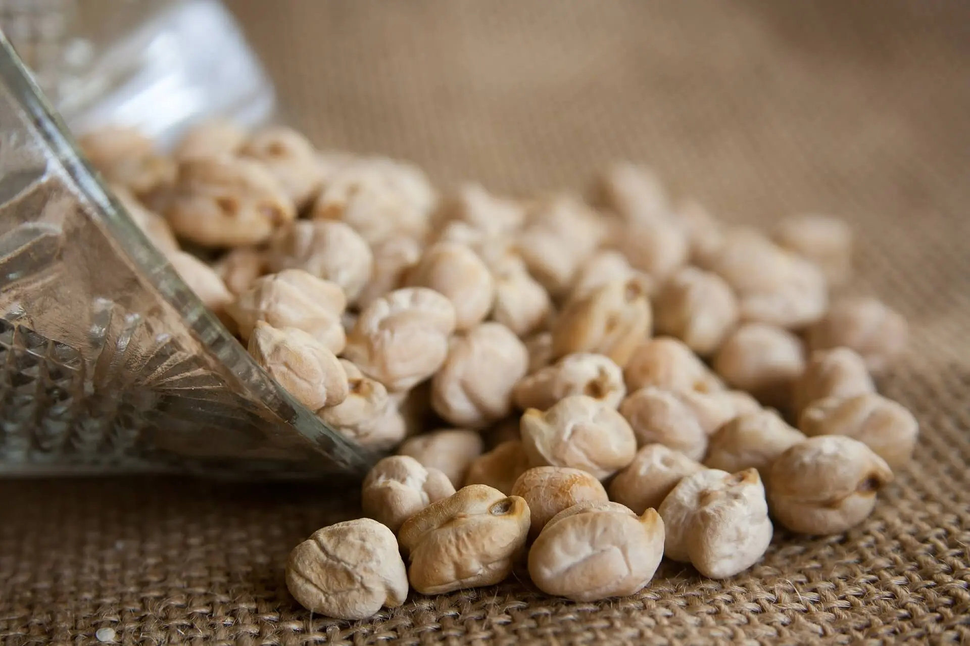 chickpea