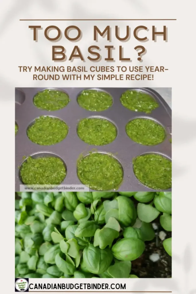 Try Making Basil Cubes With Extra Basil