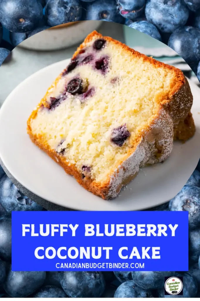 How To Make Fluffy Blueberry Coconut Cake