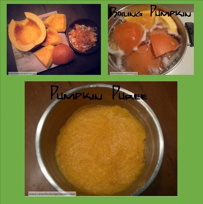 how-to-make-pumpkin-puree-2