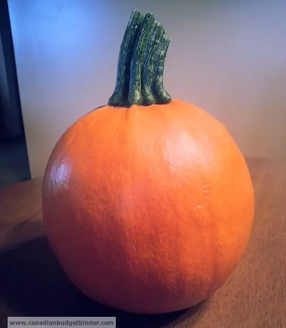 pumpkin-wm