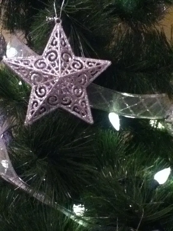 photo3
