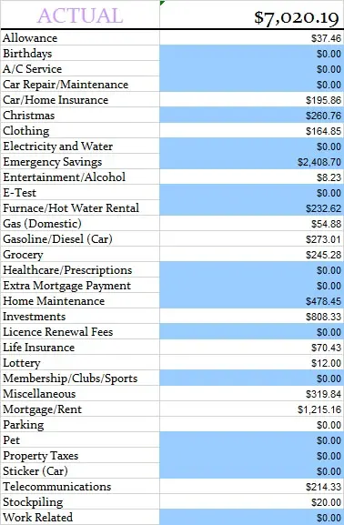 budgeted-expenses-november-2013