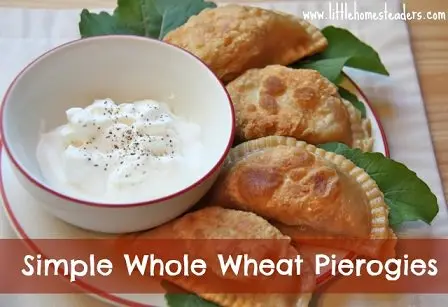Whole-Wheat-Pierogi