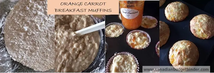 orange-and-carrot-breakfast-muffin-wm-2