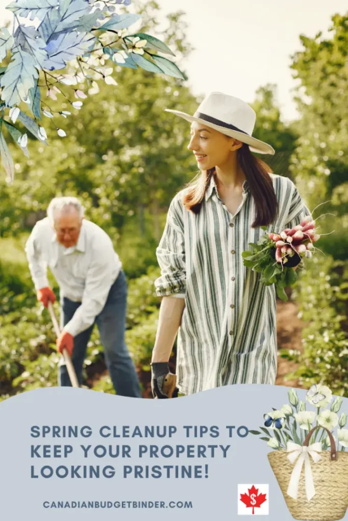 Spring-Cleanup-tips-to-keep-your-property-looking-pristine