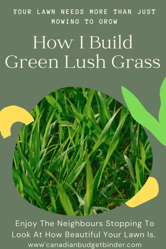 How-Mowing-Your-Lawn-Is-Only-Part-Of-Building-Green-Grass