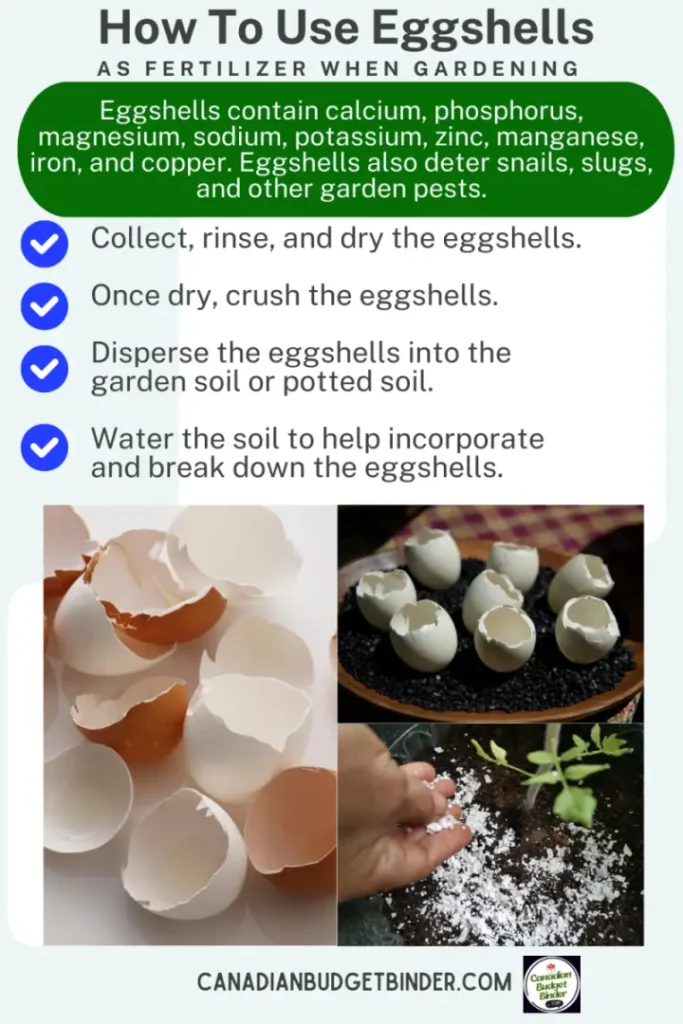 How To Use Eggshells As Garden Fertilizer