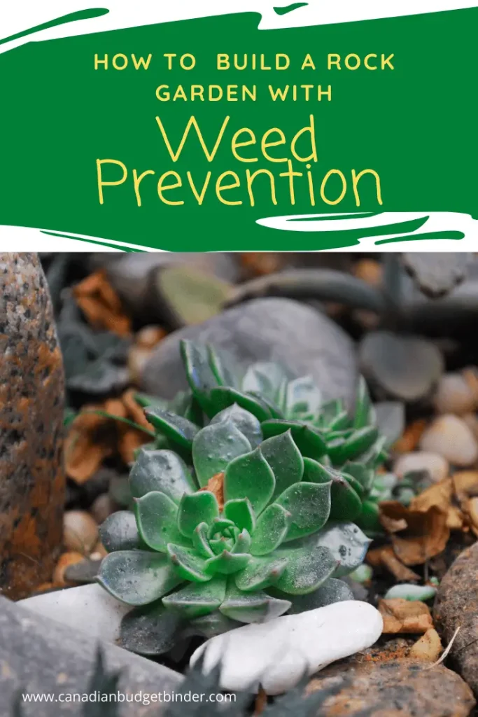 How To Build A Rock Garden With Weed Prevention