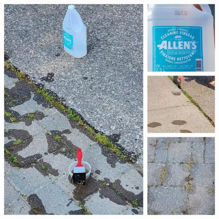 How to kill weeds without toxins