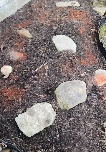 Spread Cayenne Pepper to deter squirrels and chipmunks from eating flower bulbs in rock garden