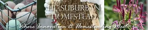 cropped-lilsuburbanhomesteaderfinal_c_2013