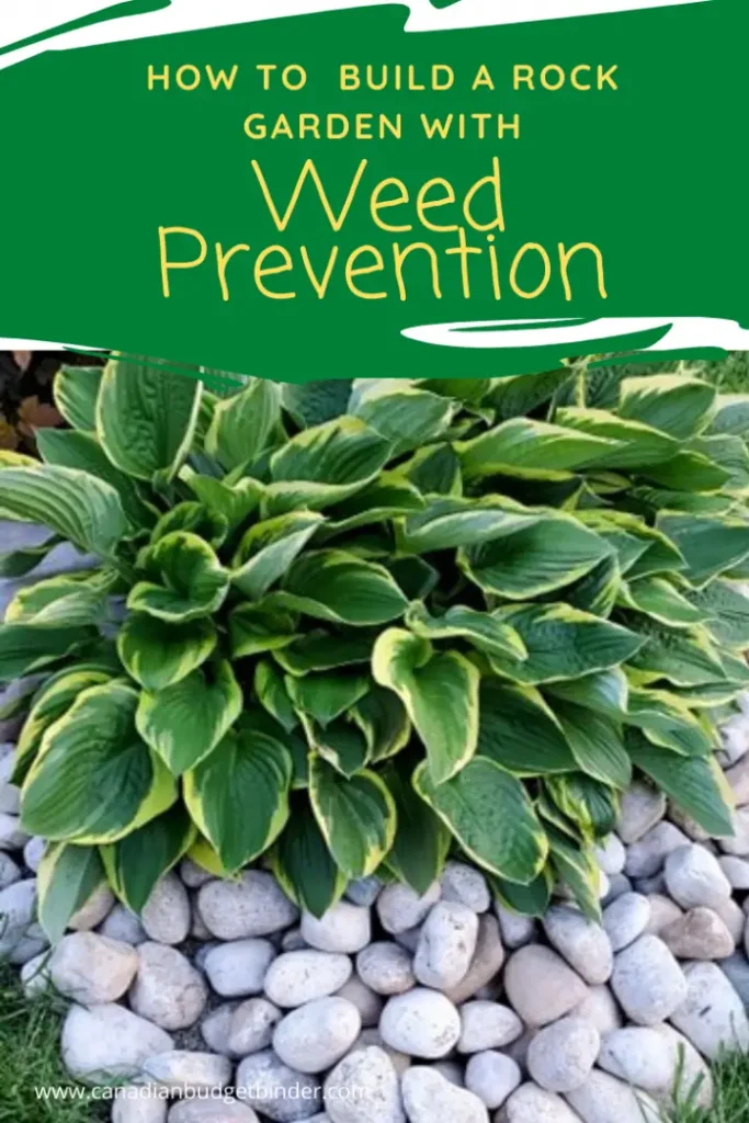 Create a rock garden oasis on your property without weeds