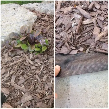 Fabric weed prevention for your rock garden.
