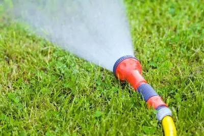 watering the lawn