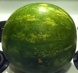 watermelon