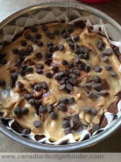 turtle-pie-wm-entire-pie