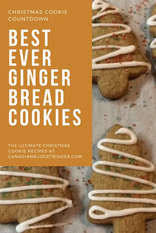 Old-fashioned gingerbread cookies