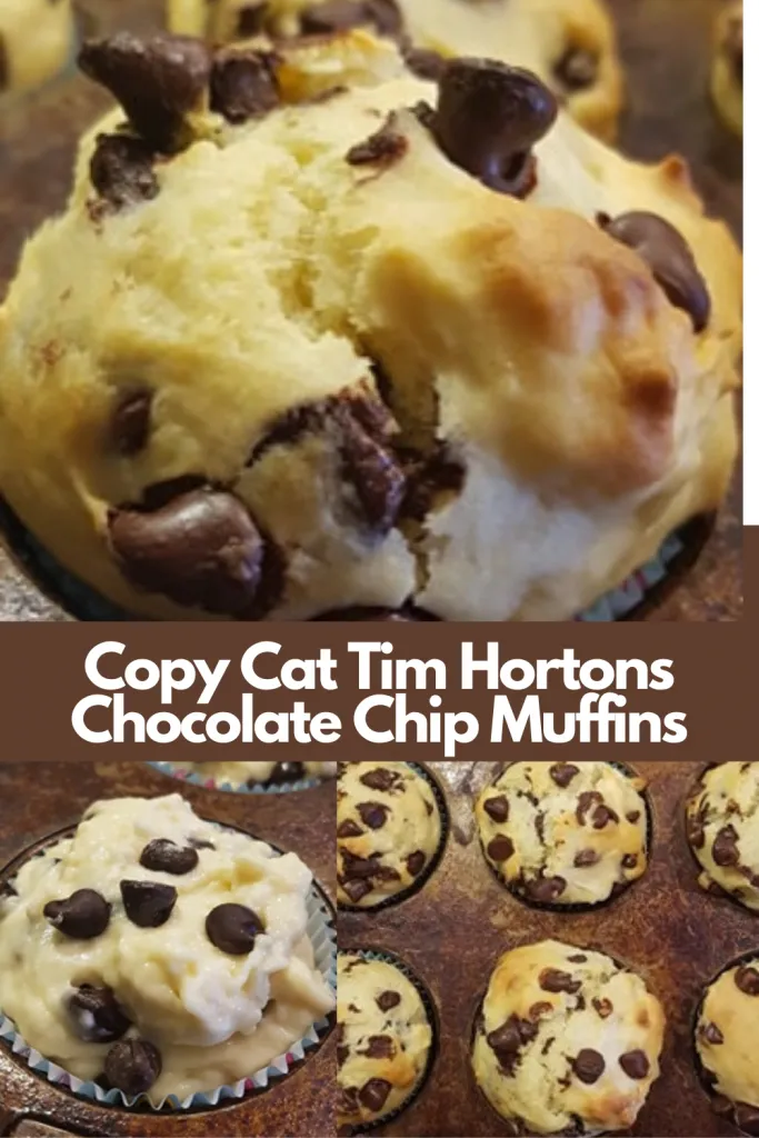 Copy-Cat-Tim-Hortons-Chocolate-Chip-Muffins