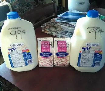 99 cent milk and cream dairyland