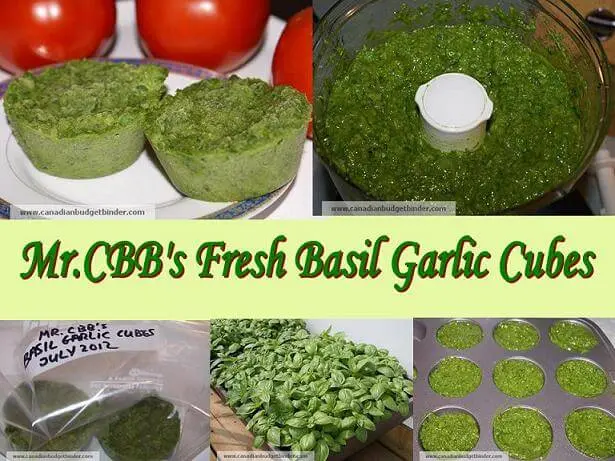 mr-cbbs-fresh-basil-garlic-cubes(1)