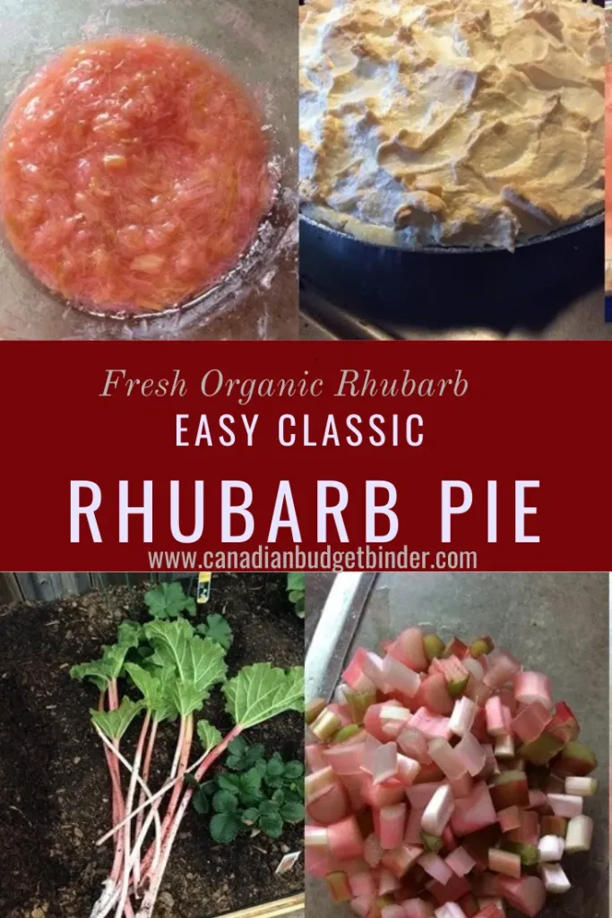Classic Rhubarb Pie Topped with Meringue